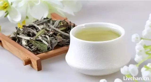 泡茶不懂水温、投茶量， 再好的茶也泡不出好味道!