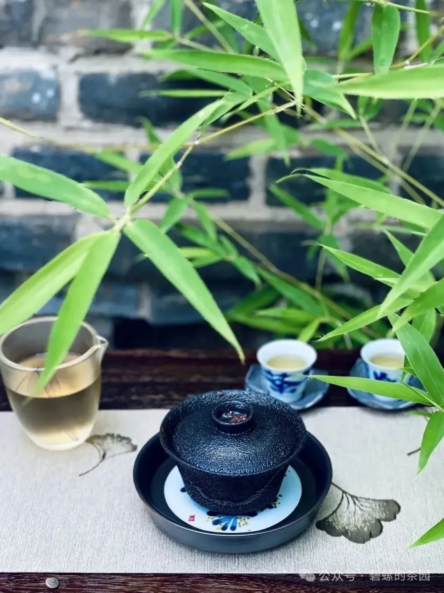 与苏东坡品“一生”