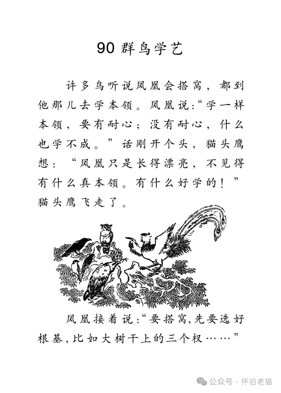 1782666404613867.webp