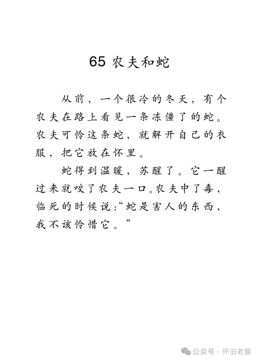 1782667433877453.webp
