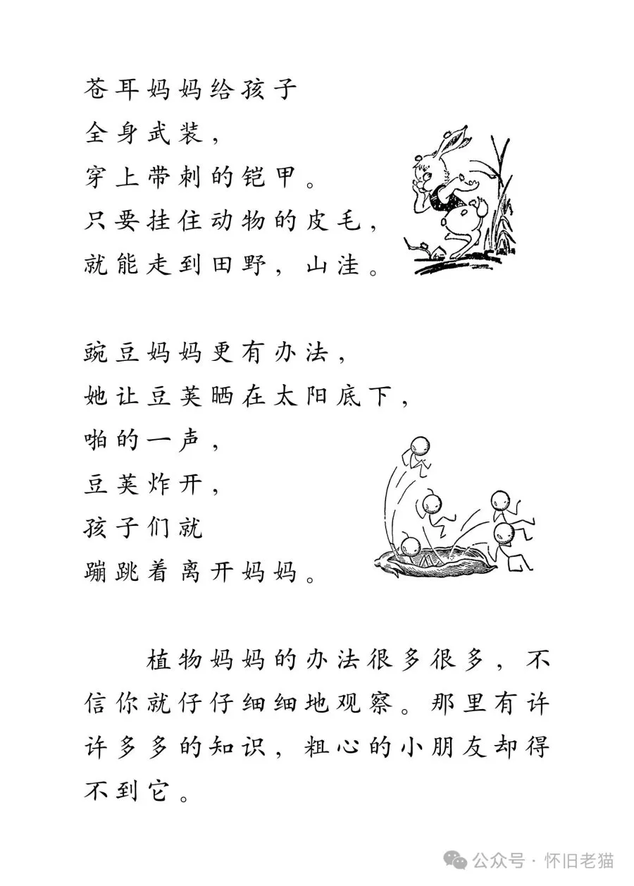 1782667434205565.webp