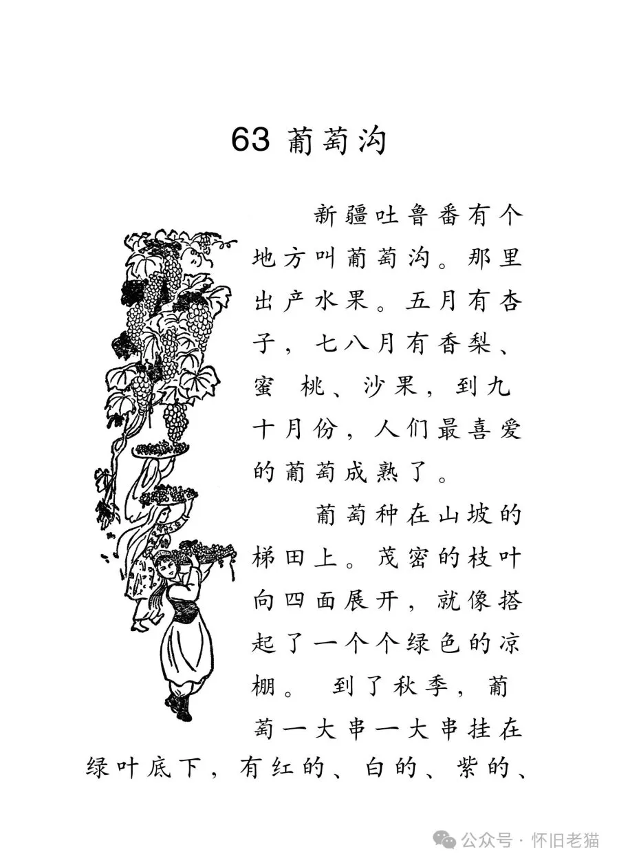1782667435180988.webp