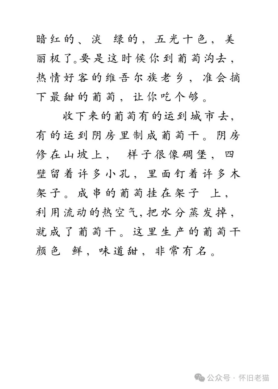 1782667435500300.webp