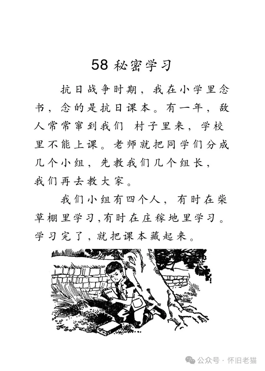 1782667436136425.webp