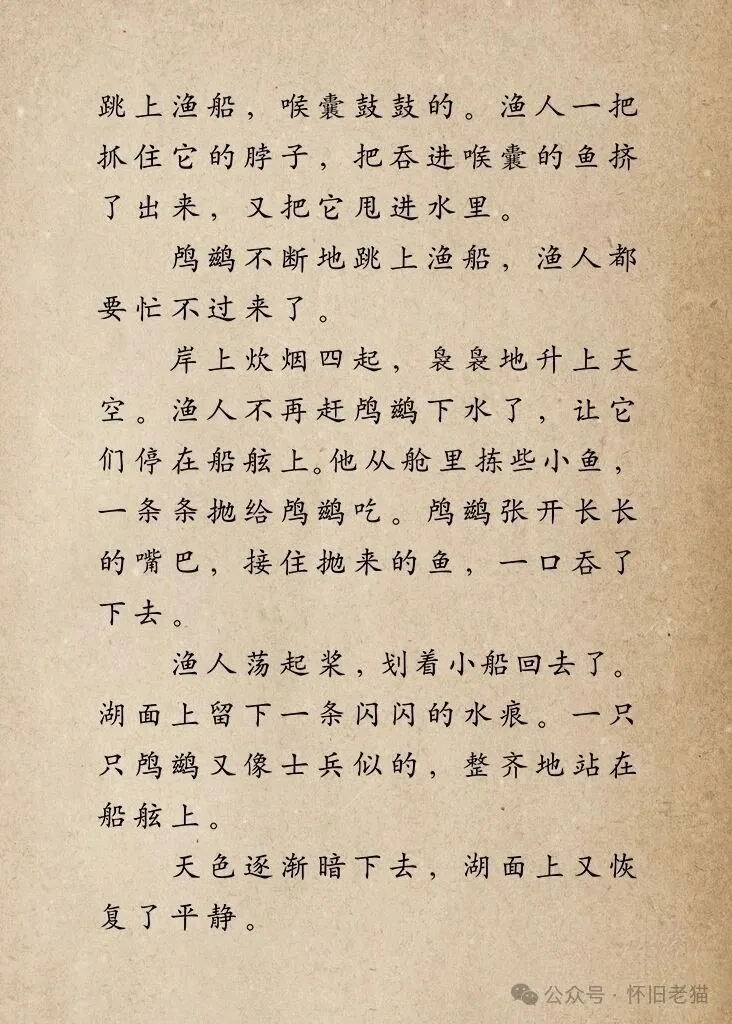 1782667829168014.webp