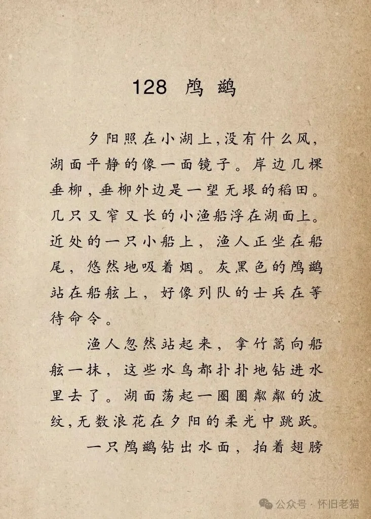 1782667829207304.webp