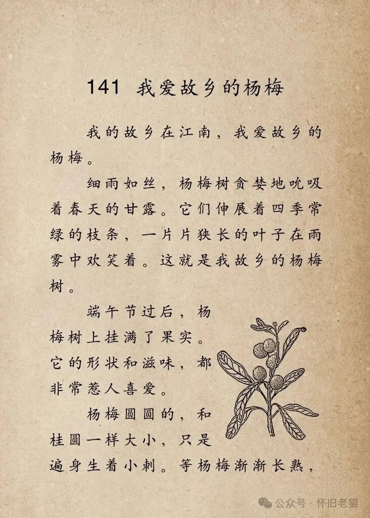 1782667833207353.webp