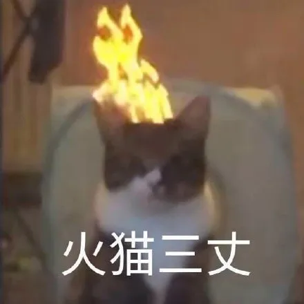 “生气了，发泄出来就好了”，我们可能一直都做错了？