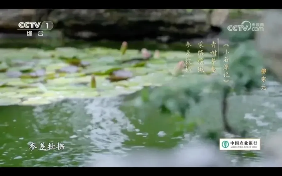 叶嘉莹:柳宗元的山水寂寞心 叶嘉莹:柳宗元的山水寂寞心