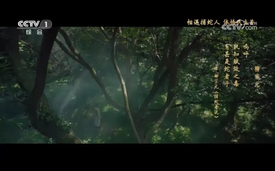 叶嘉莹:柳宗元的山水寂寞心 叶嘉莹:柳宗元的山水寂寞心