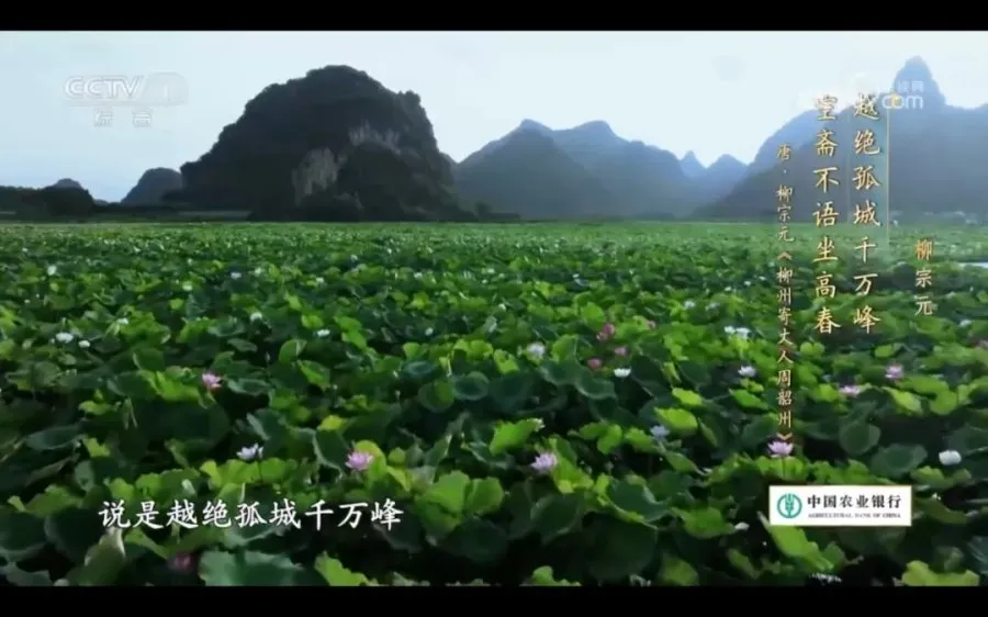 叶嘉莹:柳宗元的山水寂寞心 叶嘉莹:柳宗元的山水寂寞心