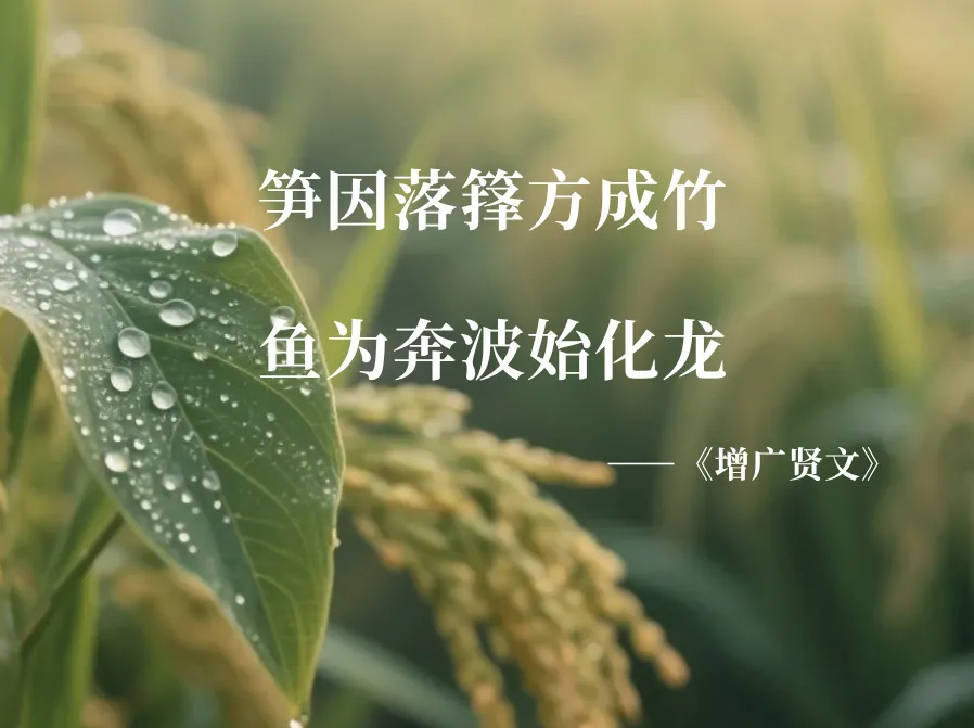 修心智慧100句，缘者自取，值得收藏！