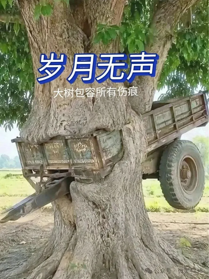国学简介