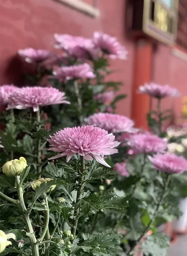 这些负能量，像回头箭，全部扎回了自己心口