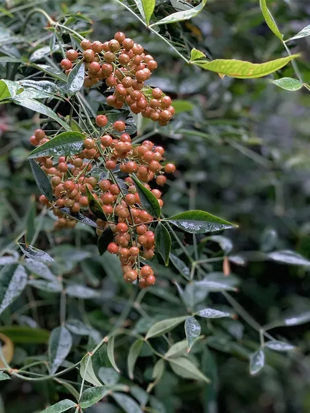 这些负能量，像回头箭，全部扎回了自己心口